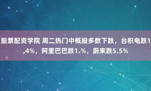 股票配资学院 周二热门中概股多数下跌，台积电跌1.4%，阿里巴巴跌1.%，蔚来跌5.5%