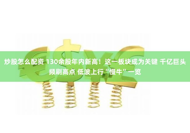 炒股怎么配资 130余股年内新高！这一板块成为关键 千亿巨头频刷高点 低波上行“慢牛”一览