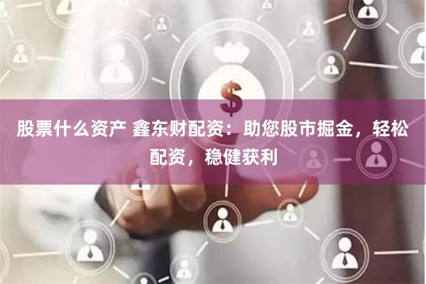 股票什么资产 鑫东财配资：助您股市掘金，轻松配资，稳健获利